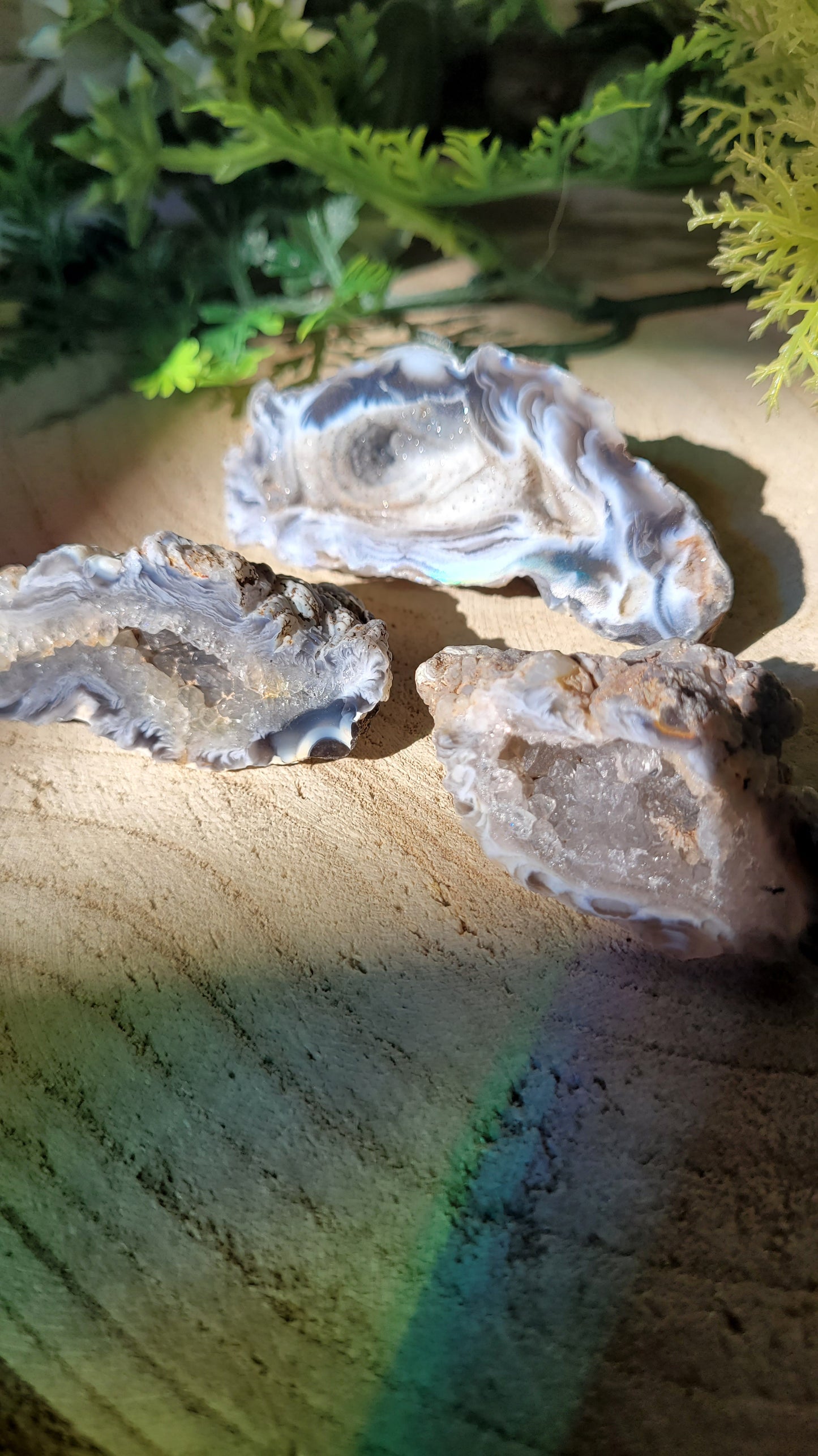 Große schwarze druzy Geode