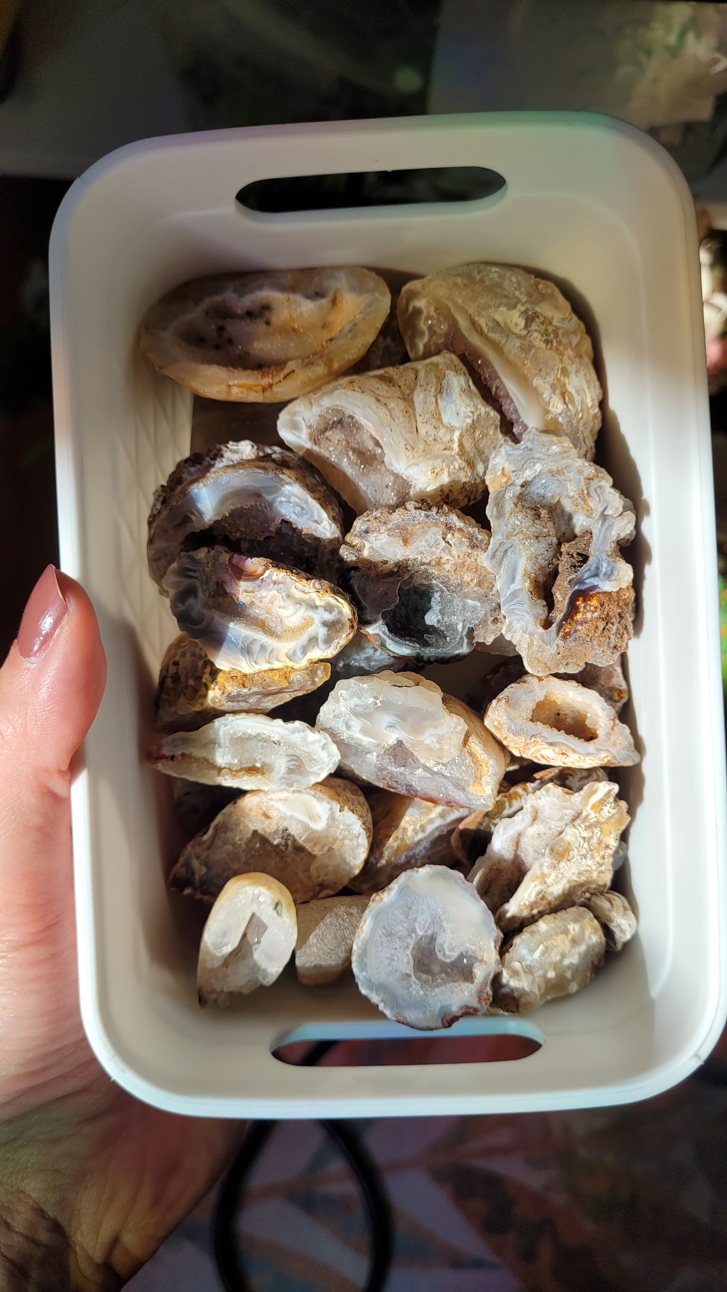 Kleine Creme druzy Geode