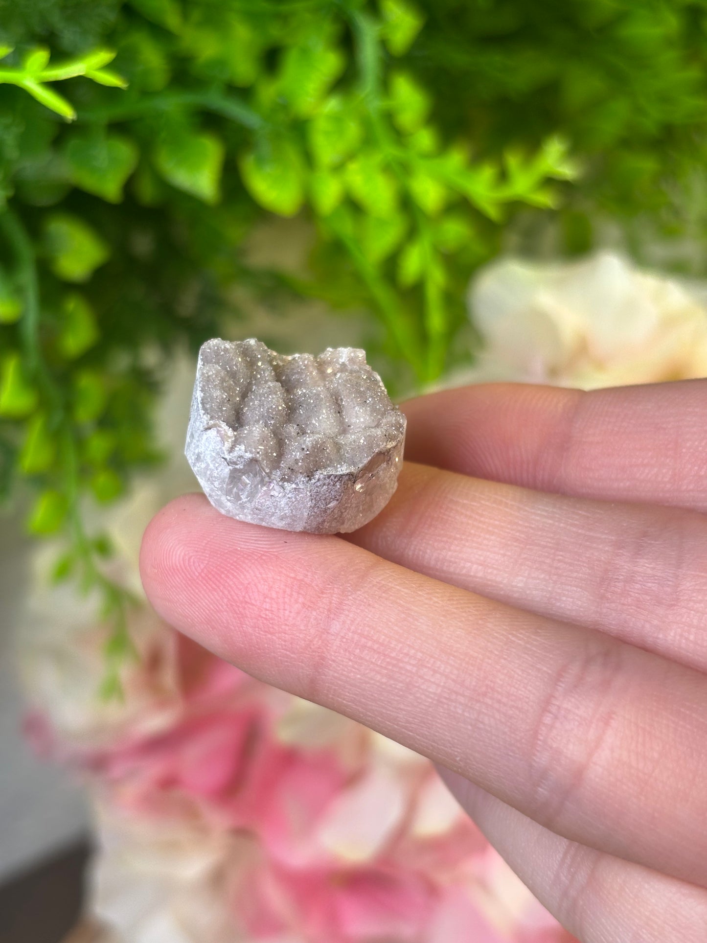 Baby Amethyst A6