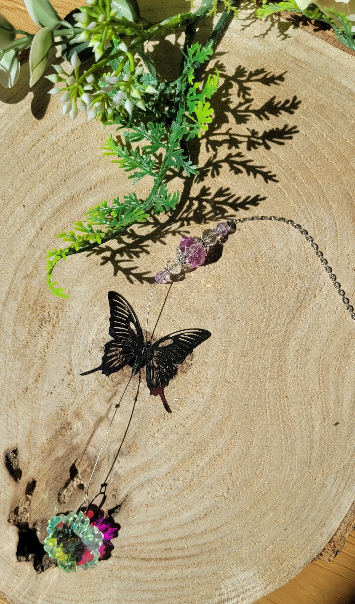 Schmetterling Sonnenfänger