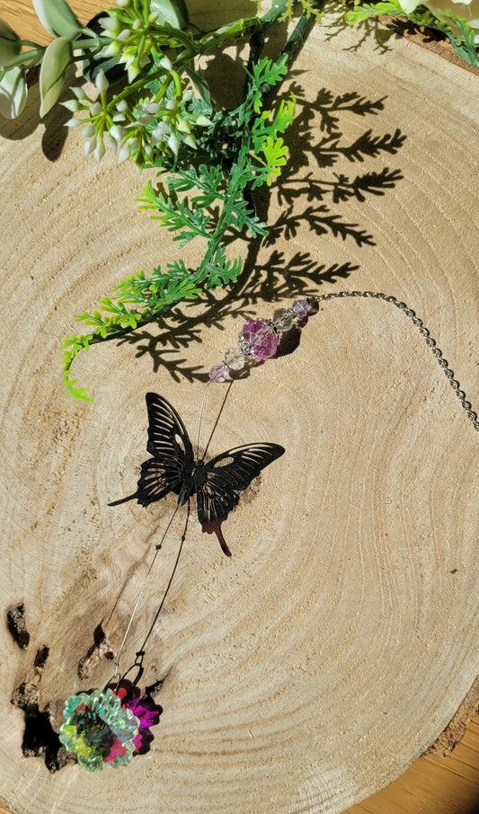 Schmetterling Sonnenfänger