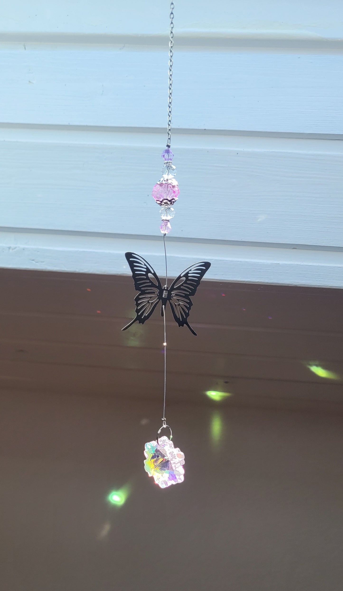 Schmetterling Sonnenfänger