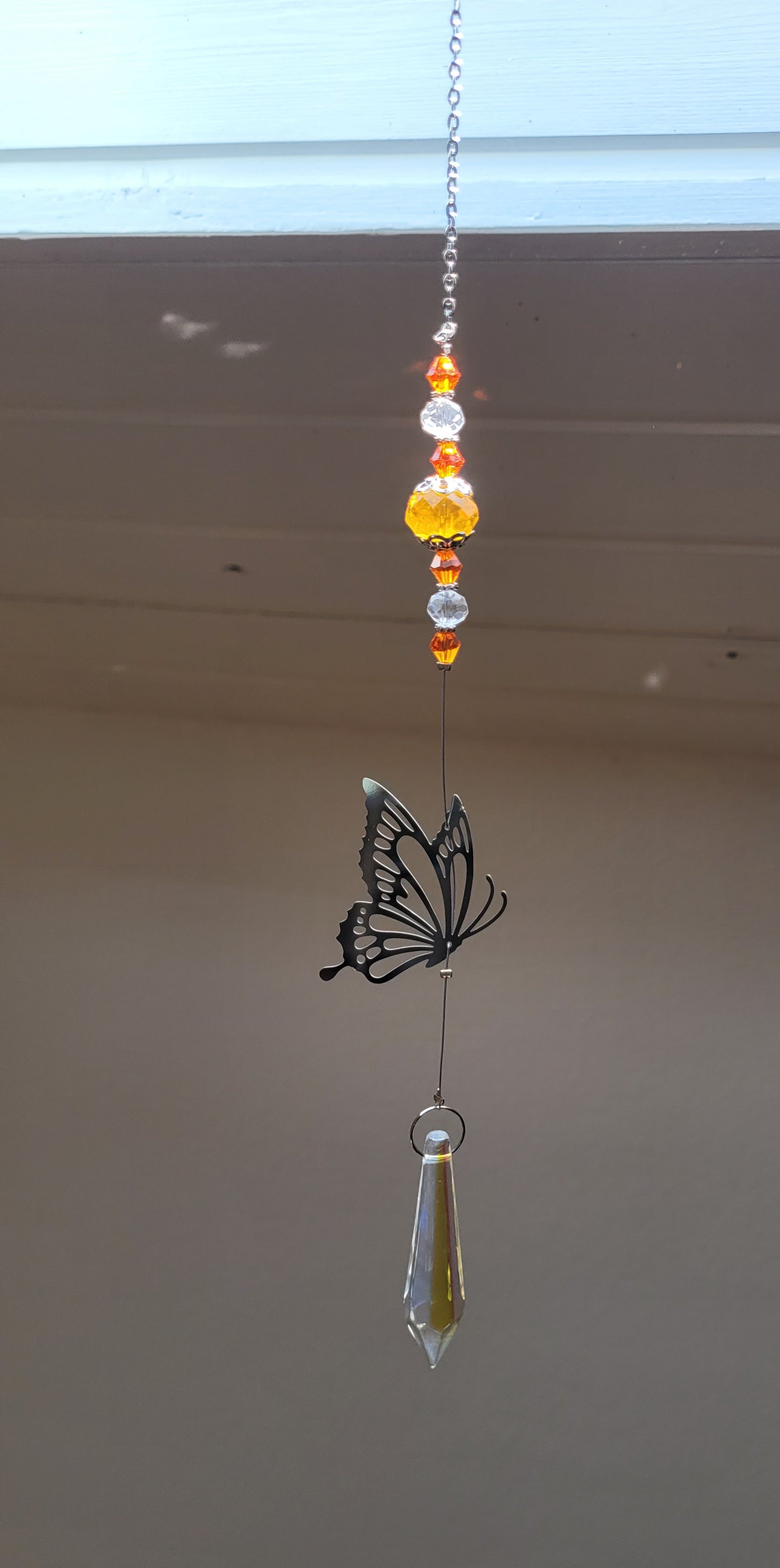 Schmetterling Sonnenfänger