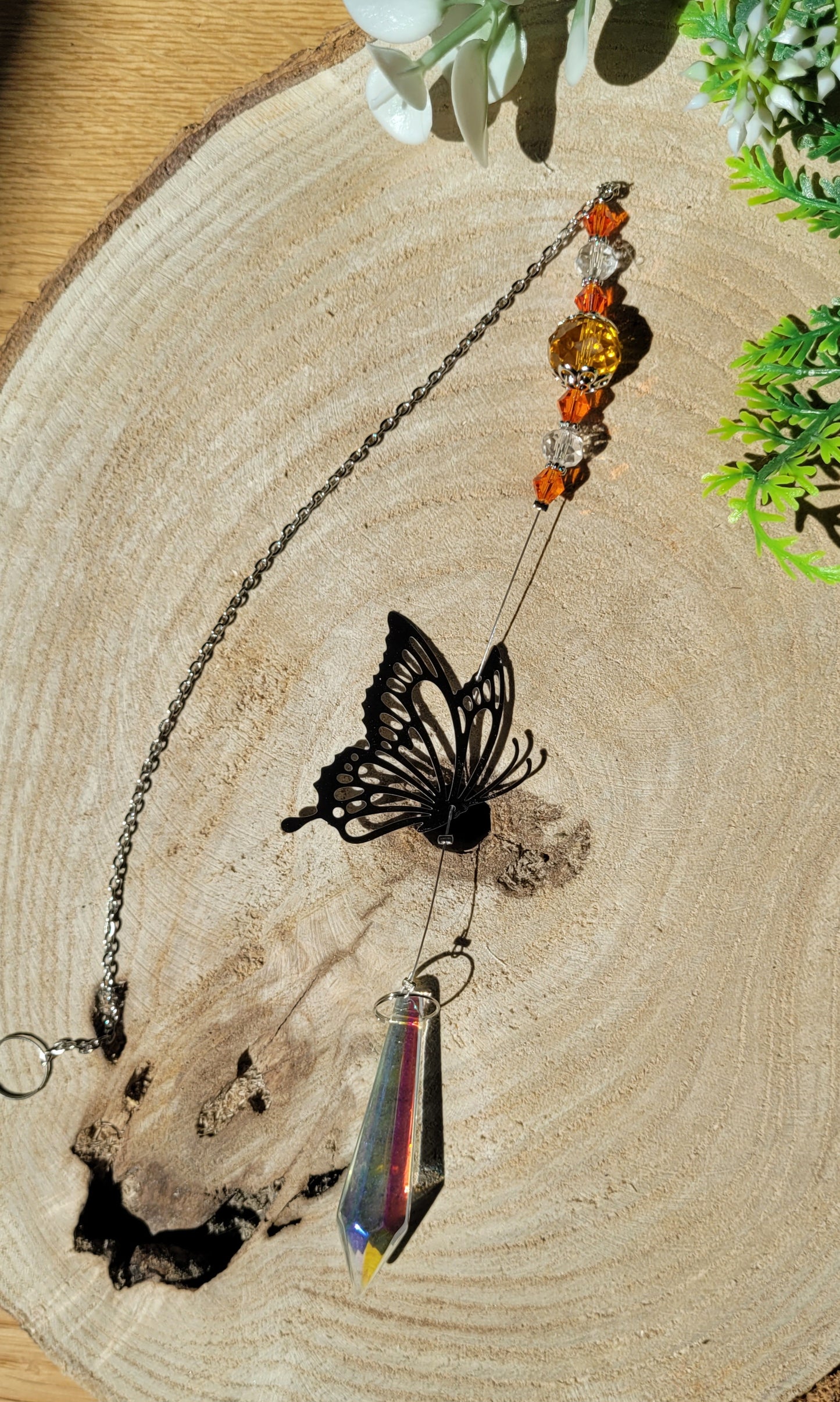 Schmetterling Sonnenfänger