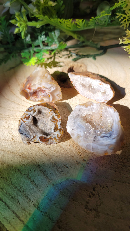 Kleine Creme druzy Geode