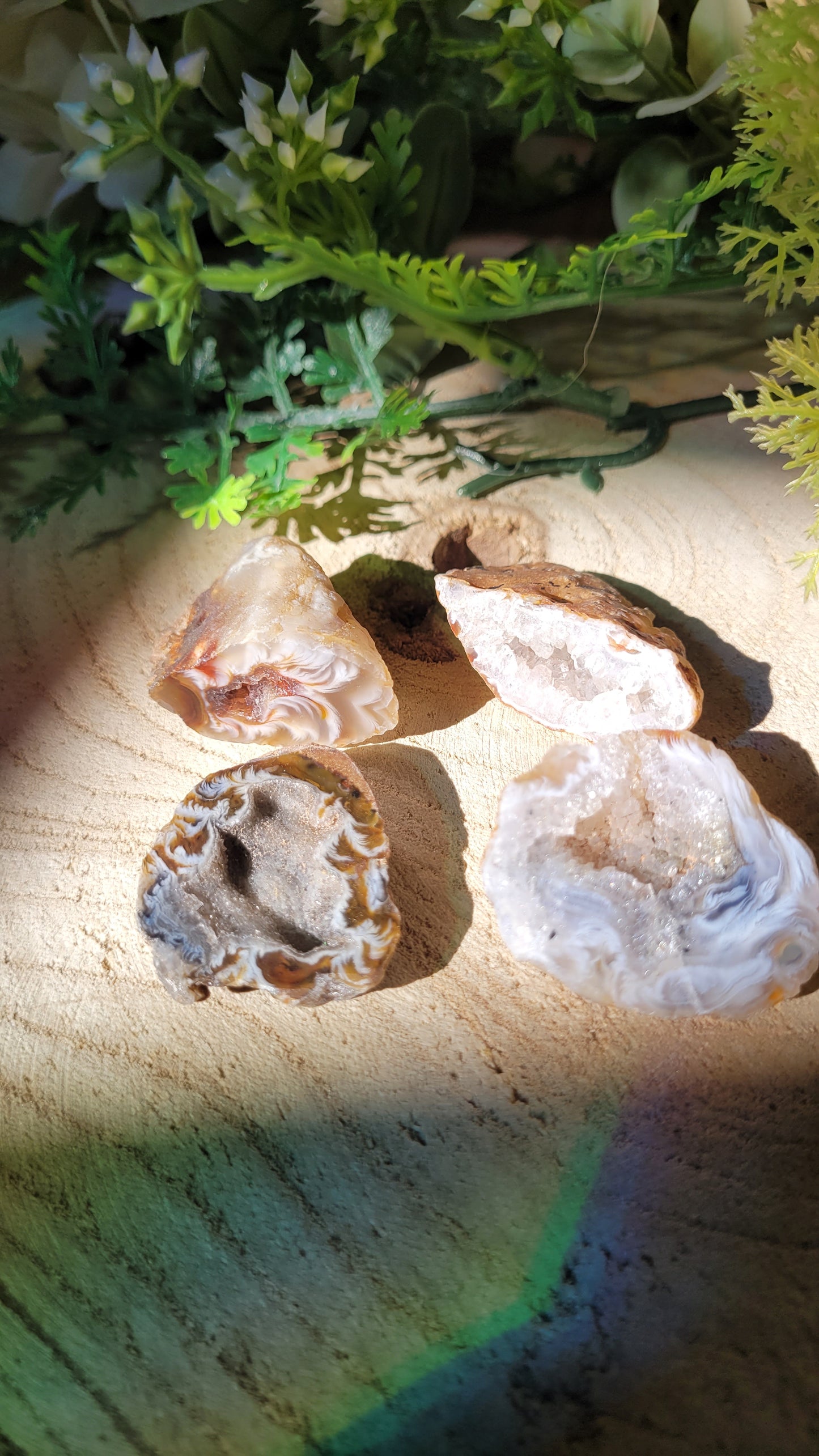 Kleine Creme druzy Geode