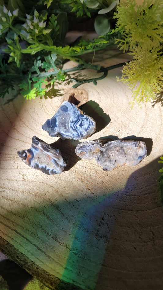 Kleine schwarze druzy Geode