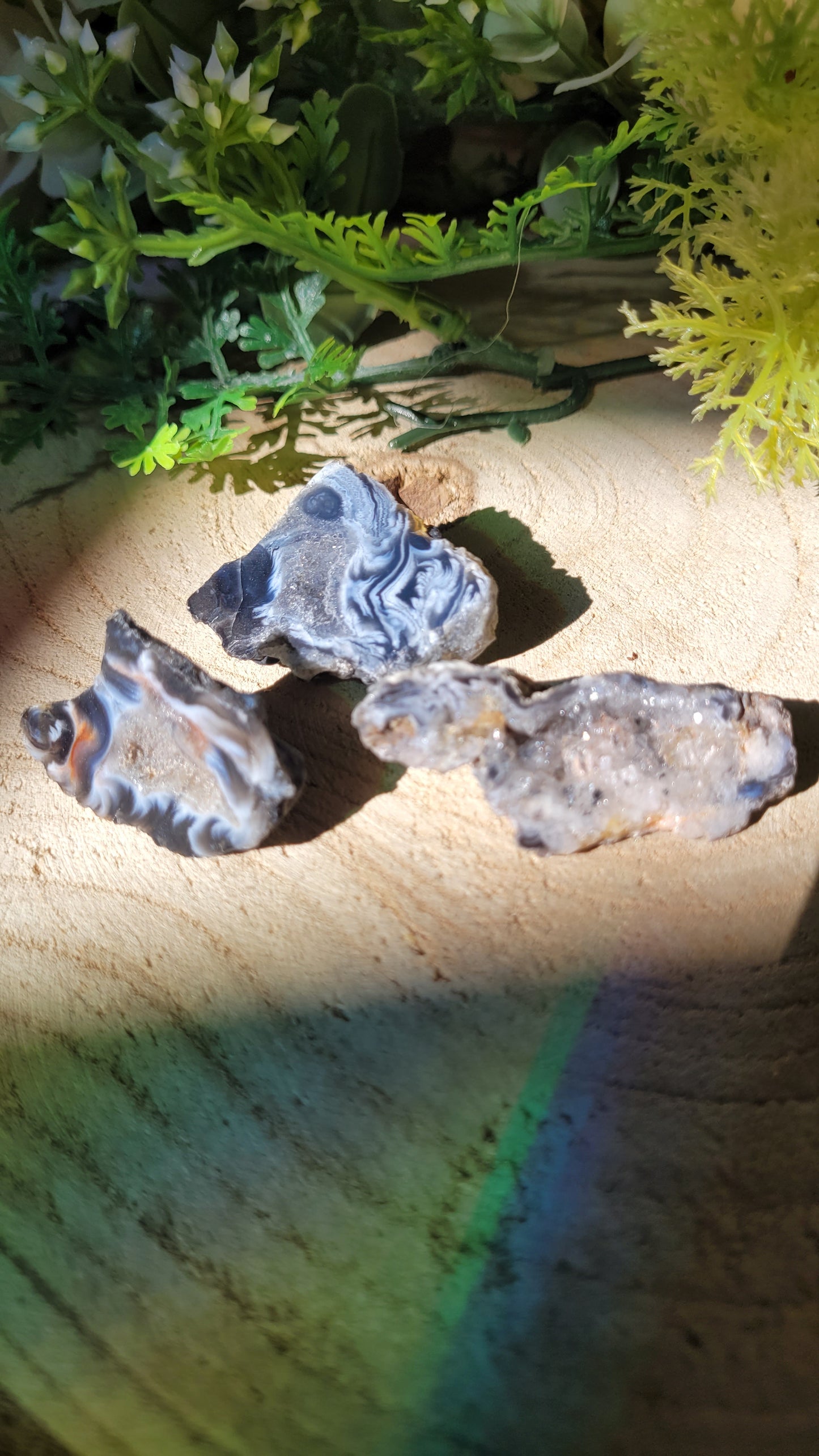 Kleine schwarze druzy Geode