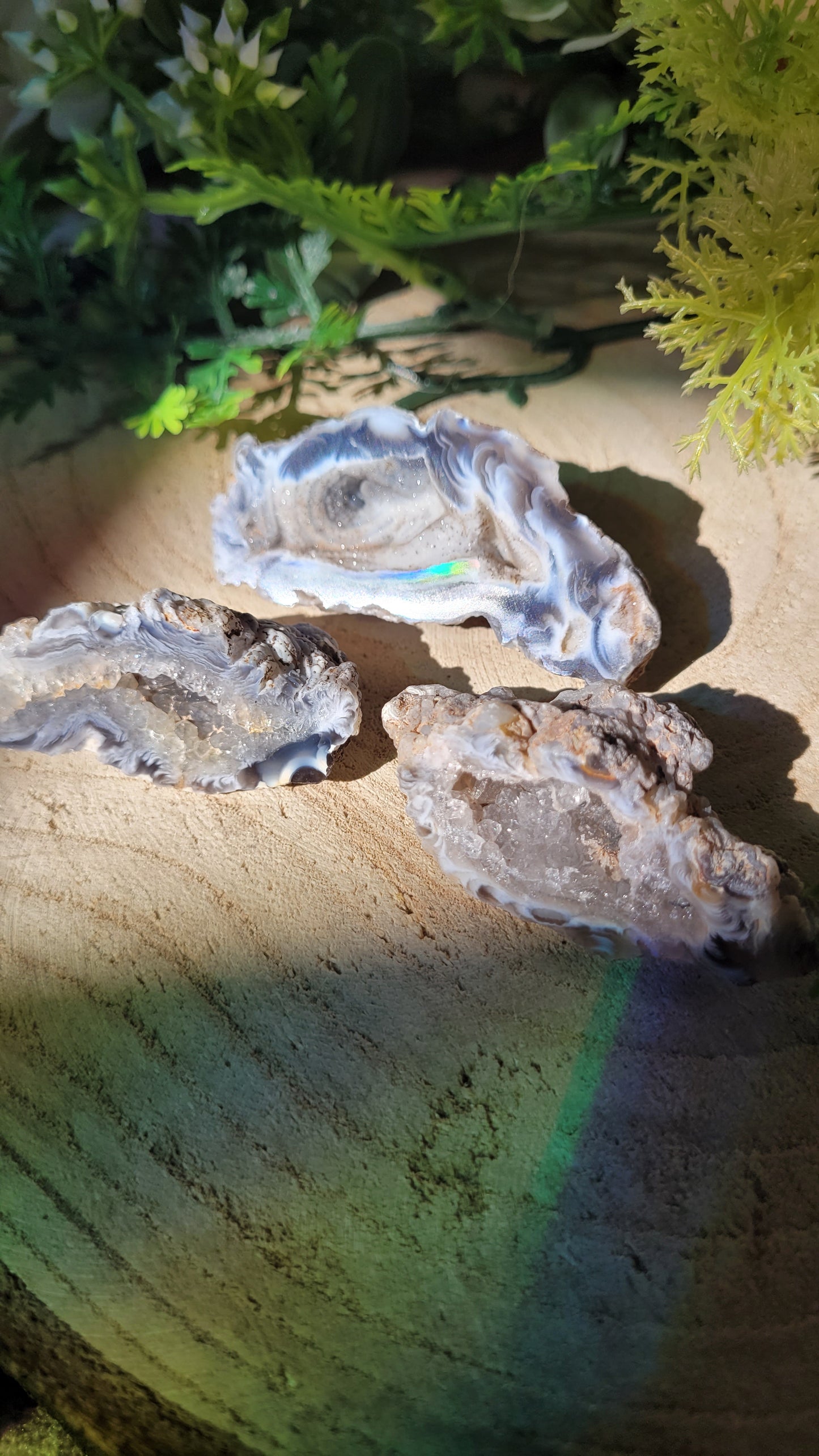 Große schwarze druzy Geode