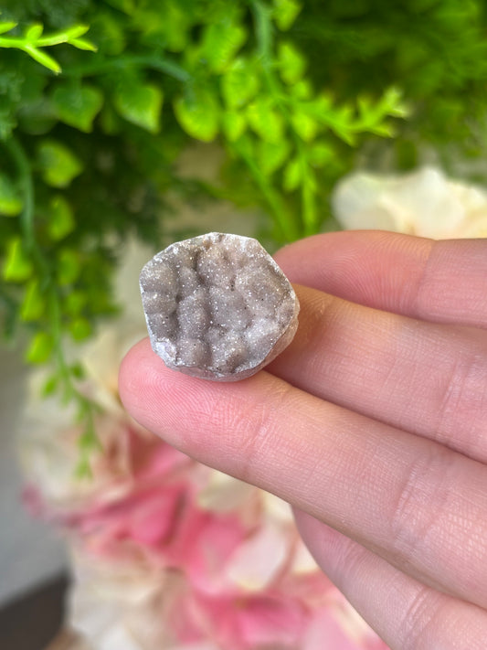 Baby Amethyst A6