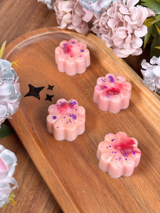 Duft Melt / Schwarze Pflaume & Rhabarber