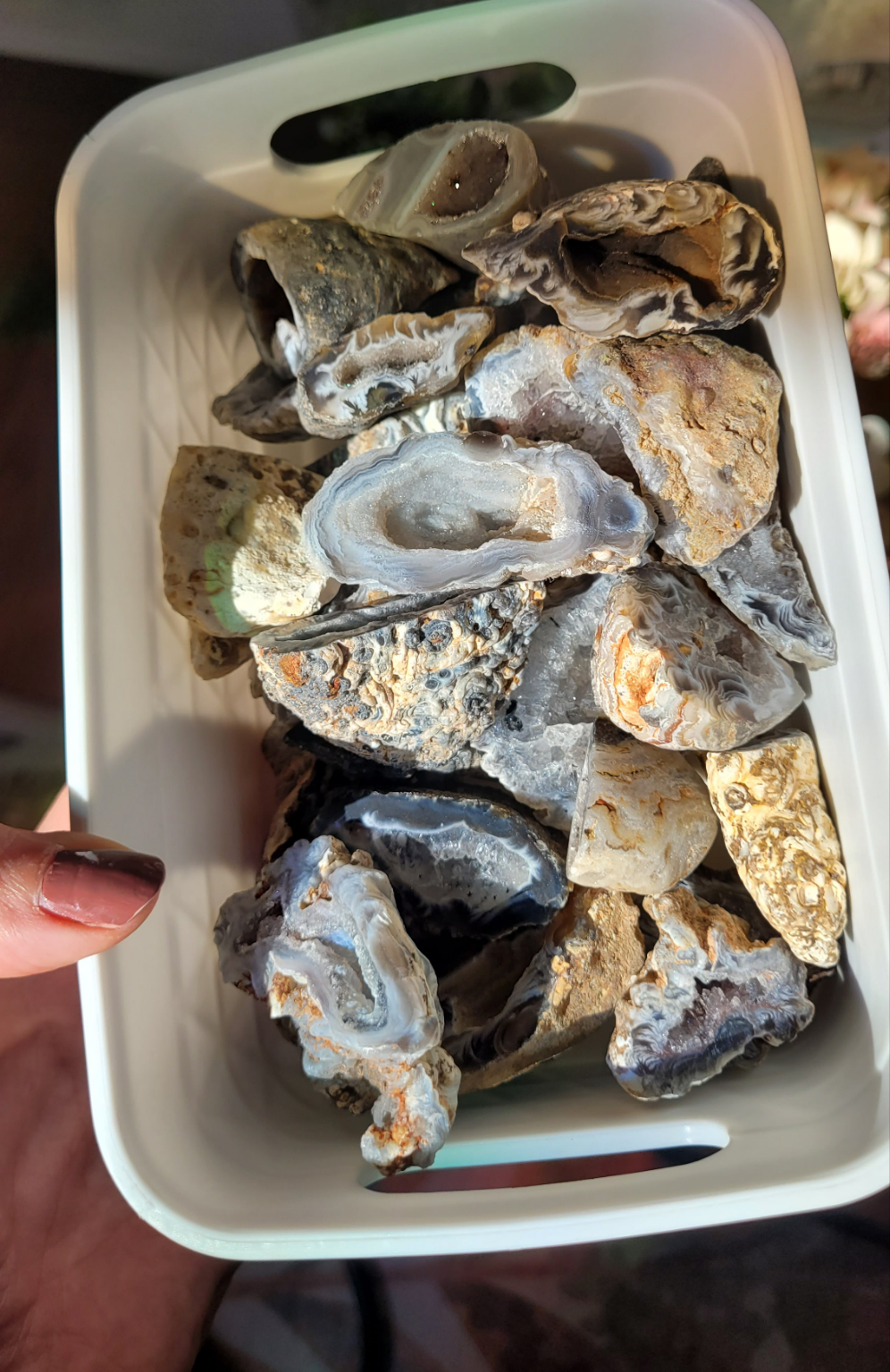 Große schwarze druzy Geode