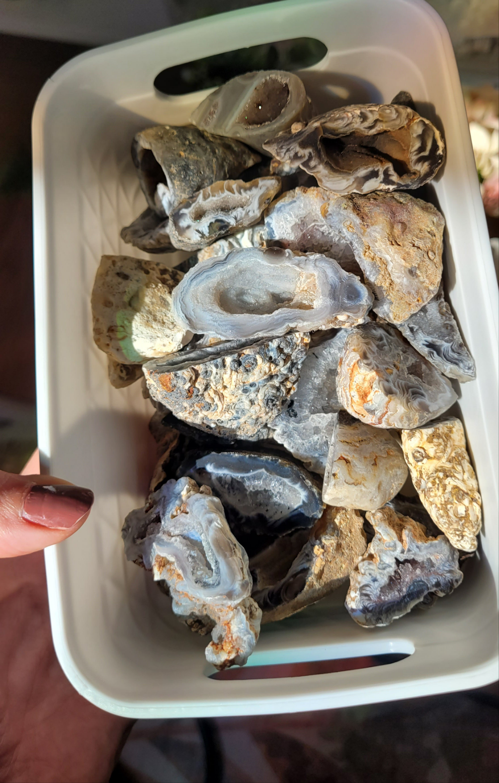 Kleine schwarze druzy Geode